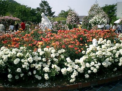 d0006756_1119471.jpg
