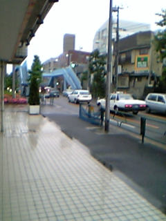 冷たい雨_c0049870_16211134.jpg