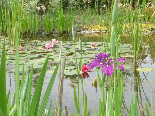 びわ湖大津館　英国式庭園　4_b0055171_2321649.jpg