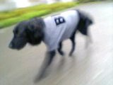 c0040702_16272771.jpg