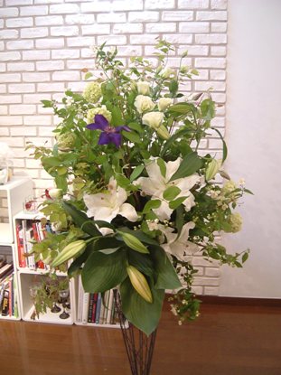 d0000304_1411370.jpg