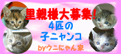 c0015610_11225940.gif