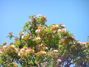 d0032693_18352164.jpg