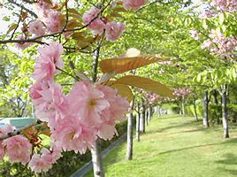 早朝散歩。_b0067302_210163.jpg