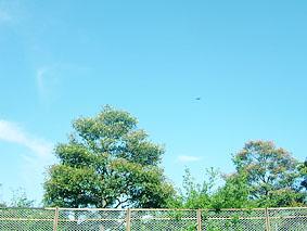 b0044713_14061.jpg