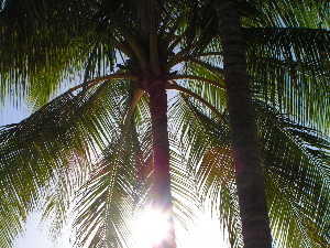 d0032693_19154067.jpg