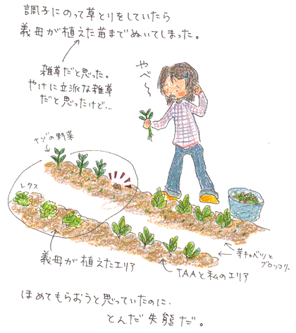 b0015222_21371578.gif
