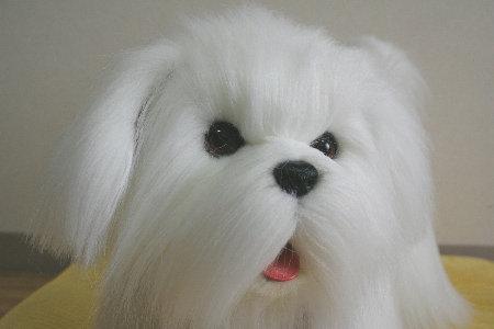 b0017338_06248.jpg