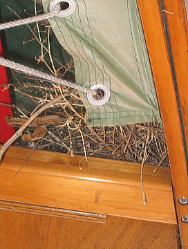 a0031005_14481542.jpg