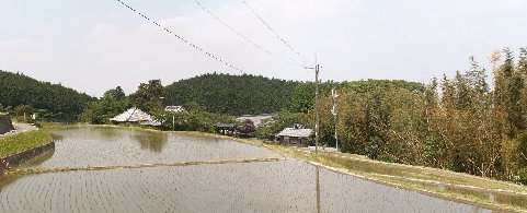 第二回目葛城古道・南河内の古墳・古社寺⑤橋本院～弘川寺・・・_a0016431_12305471.jpg