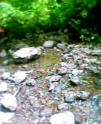 c0005239_6253868.jpg