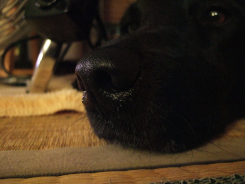c0039145_22443260.jpg