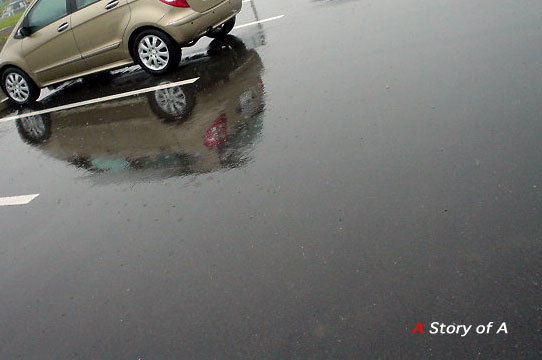 A200　観察日記　〜　初めての雨の日　〜_c0021694_9323682.jpg