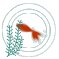 b0052317_21222389.gif