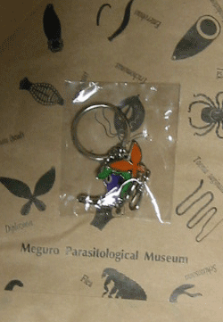 a0008459_2223348.gif