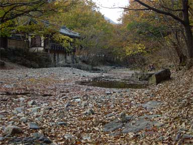 b0054886_14311761.jpg