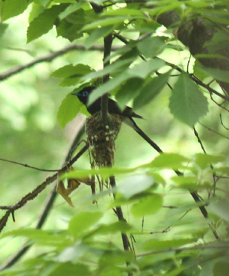 a0024504_11393670.jpg