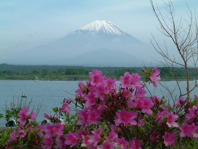 精進湖から見た富士山_b0070657_17212669.jpg