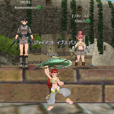 新たな旅立ち_d0023063_4192550.jpg