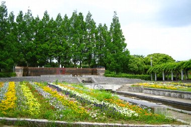 梅雨入り前の森林浴in黒鳥山公園。_d0012167_1649553.jpg