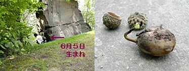 お散歩。_b0067302_21575177.jpg