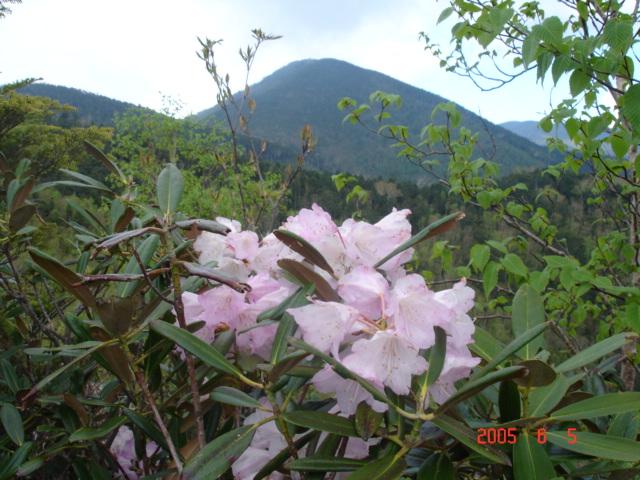 笛吹川西沢渓谷から黒金山・乾徳山縦走_d0032262_12493744.jpg