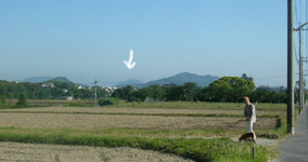 b0057675_10154551.jpg