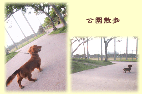 c0046285_11394226.gif