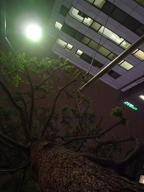 b0001402_313834.jpg