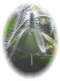 b0036608_9342192.jpg