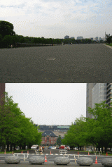 d0014408_1863971.gif