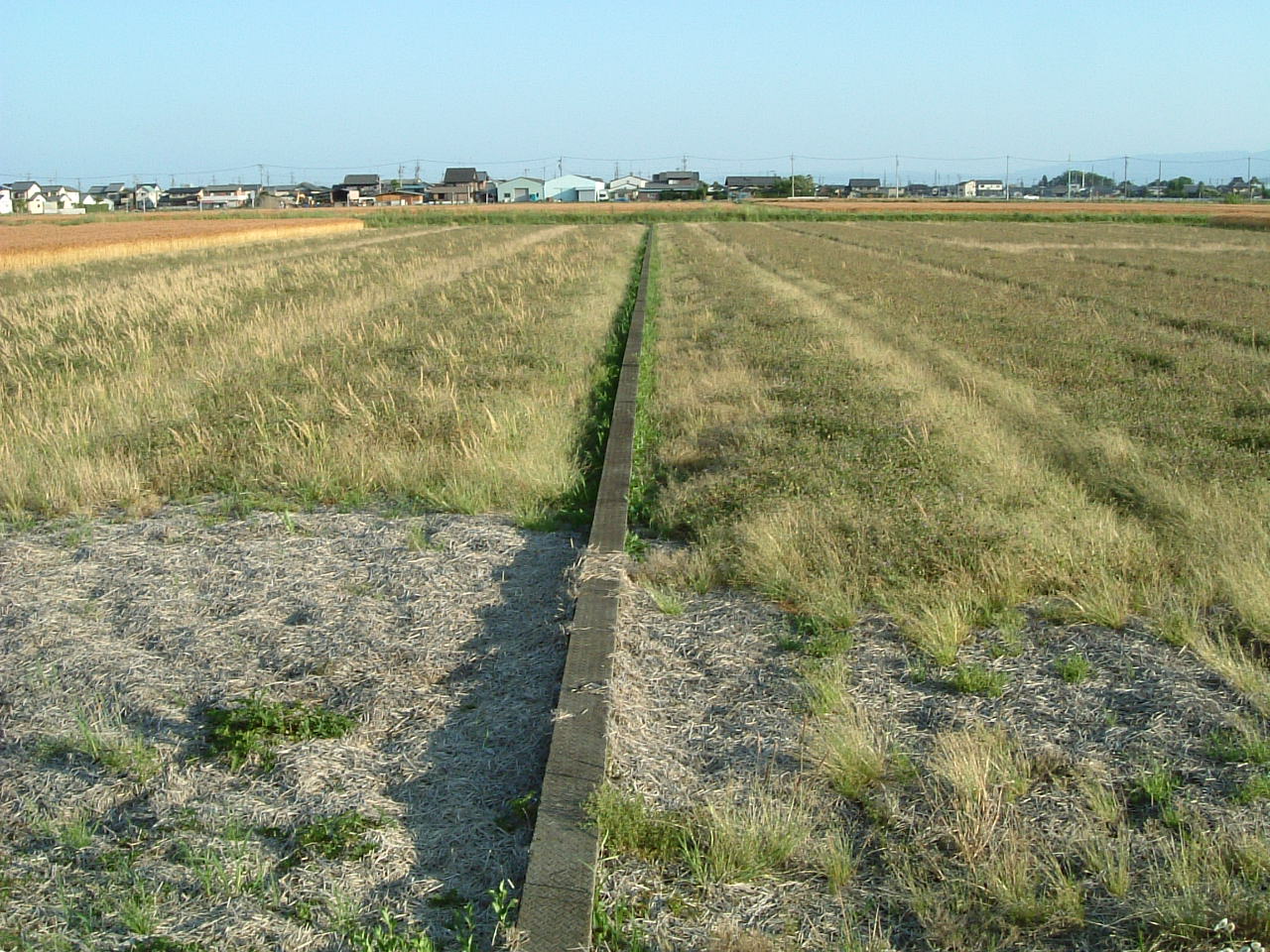 a0012449_68358.jpg