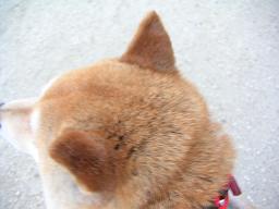 話を聞いてくれる人_c0049950_21152329.jpg