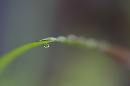 ひとつぶの雨_c0014751_12394237.jpg