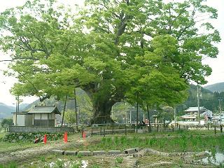 b0050787_127207.jpg