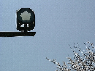 b0063221_122356.jpg