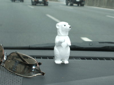 d0036427_883834.gif