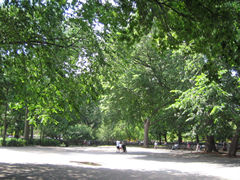 c0064534_12341728.jpg
