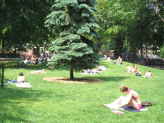 c0064534_12355944.jpg