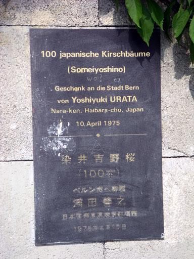 b0038588_23401259.jpg