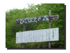 d0033015_1283271.jpg
