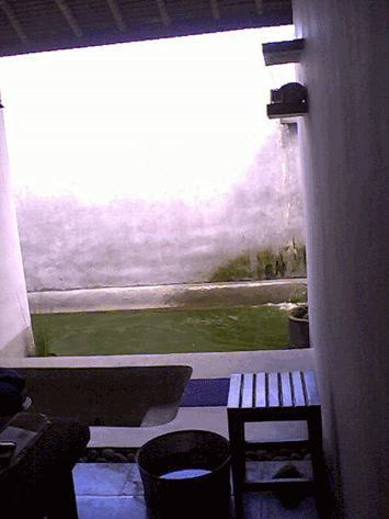 d0038319_93148.gif