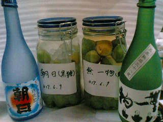 c0039730_04505.jpg