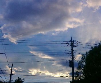 【虹!!! 虹みました!?きょう夕方の空。・・・空にサメ!?】_b0032617_19195994.jpg
