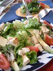 Spicy Tofu Salad --Days of Aloha_b0038721_13221438.jpg