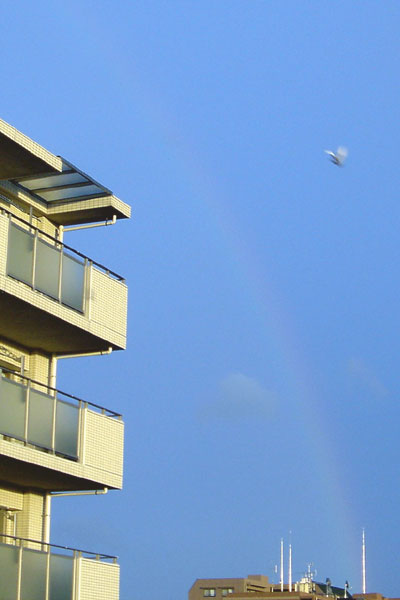 a0001964_1943485.jpg