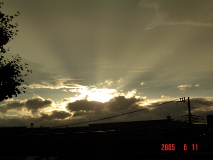 b0024266_23432535.jpg