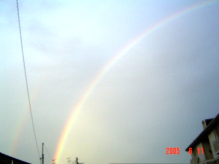 b0024266_23435842.jpg