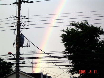 b0024266_23441039.jpg
