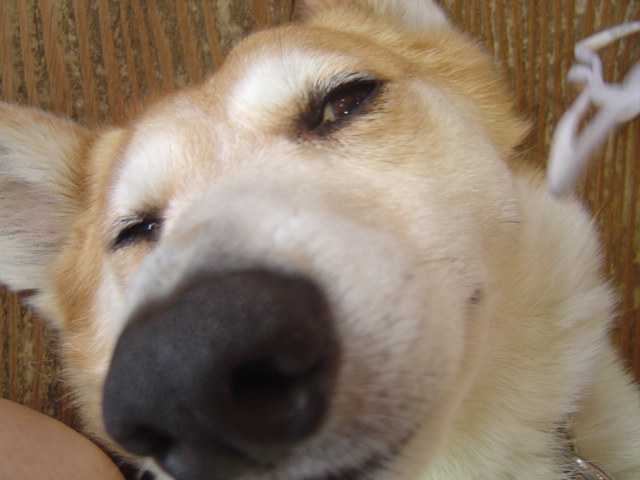 c0075585_0464899.jpg